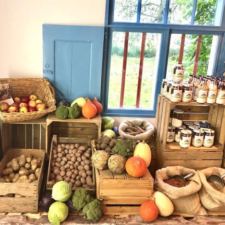 bio groente boerderijwinkel greidelan zuivel